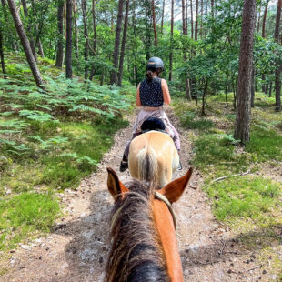 Quend-Plage-les-pins , parcelle de terrain à batir de  570 m2 .
