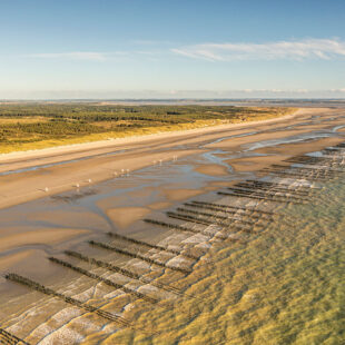 Quend-Plage-les-pins , parcelle de terrain à batir de  570 m2 .