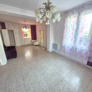 Maison Haubourdin 5 chambres (1 au rdc), jardin, garage