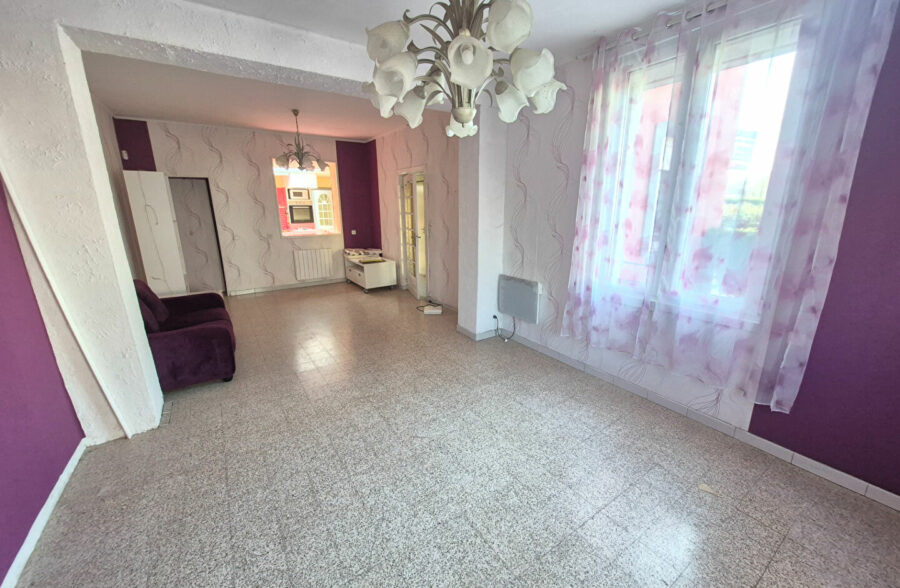 Maison Haubourdin 5 chambres (1 au rdc), jardin, garage