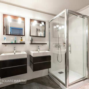 Maison Villeneuve D Ascq + studio