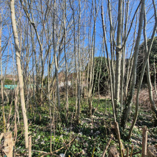 Maison Bruay La Buissiere 95 m2