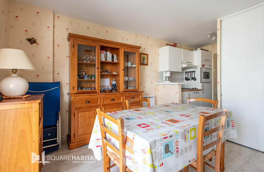 GRAND STUDIO + CABINE + Terrasse vue mer et Garage – 100 m PLAGE