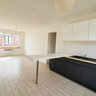 Métro Lomme Bourg : T2 de 44m2 lumineux et rénové