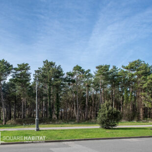 Appartement  T3 face Pinède!