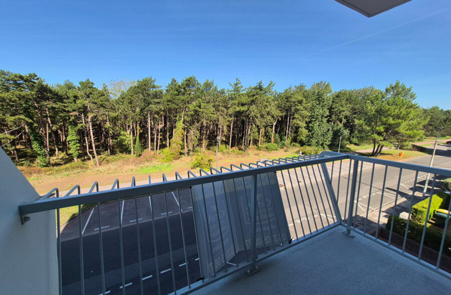 Appartement  T3 face Pinède!