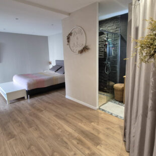 Loft individuel 5 pièces, 3 terrasses et garage 2 V.