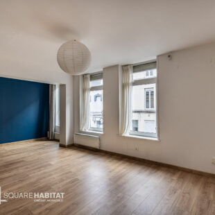EXCLUSIVITÉ WAZEMMES – SAINT-MICHEL : CHARMANT T2 BIS EN TRIPLEX AVEC TERRASSE PRIVATIVE