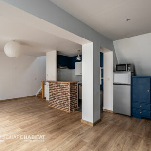 EXCLUSIVITÉ WAZEMMES – SAINT-MICHEL : CHARMANT T2 BIS EN TRIPLEX AVEC TERRASSE PRIVATIVE