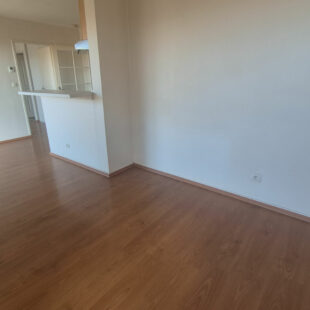Appartement  2 pièce(s) 41 m2, terrasse et place de parking.