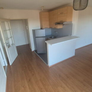 Appartement  2 pièce(s) 41 m2, terrasse et place de parking.