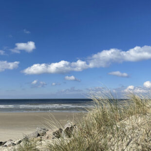 A quelques pas de la plage de Merlimont, T2 idéal vacances !