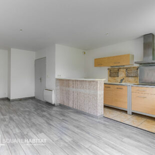 Joli T2 avec terrasse et garage