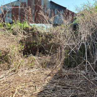 Ensemble immobilier Quievrechain env 200 m2