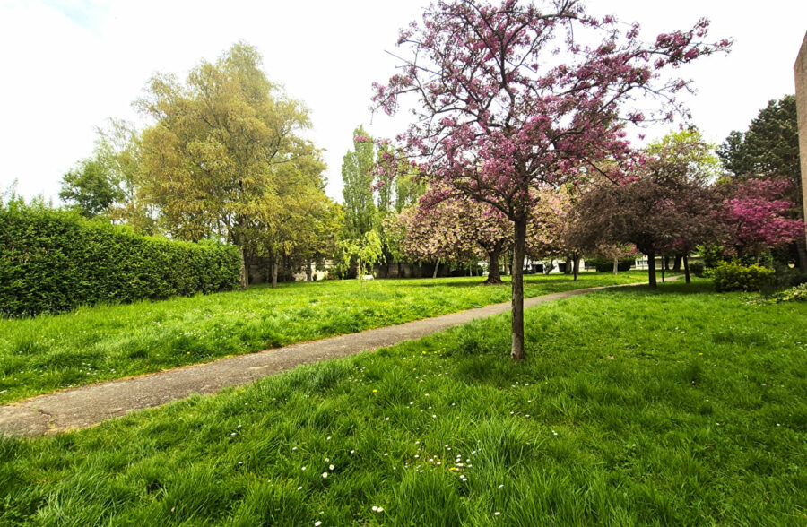 APPARTEMENT 77 m² A PROXIMITE IMMEDIATE DU BOULEVARD GAMBETTA