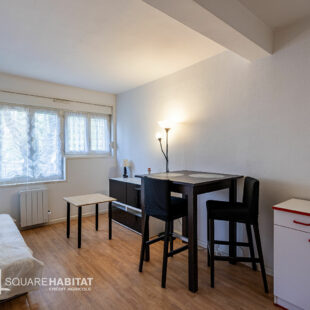 EXCLUSIVITÉ LILLE MOULIN : TYPE 1 BIS AVEC CAVE PRIVATIVE