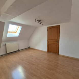 INVESTISSEMENT: Maison et local commercial Maresches 154 m2