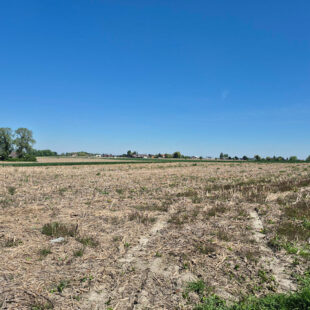 Maison  semi- plain pied avec garage Neuville-en-ferrain