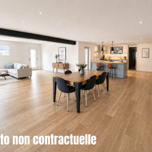 Maison Mons En Pevele 5 pièce(s) 170 m2