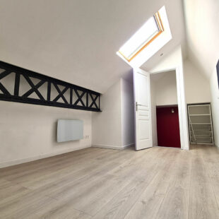 LOFT 118 m² AVEC TERRASSE ET PARKING