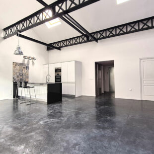 LOFT 118 m² AVEC TERRASSE ET PARKING