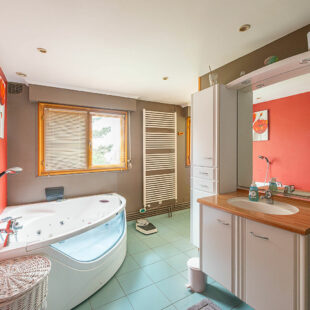 Maison Brillon 7 pièce(s) 243 m2