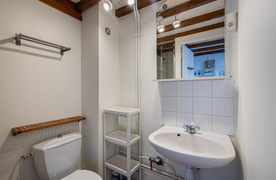 LILLE SEBASTOPOL : TYPE 1 BIS LUMINEUX AVEC MEZZANINE