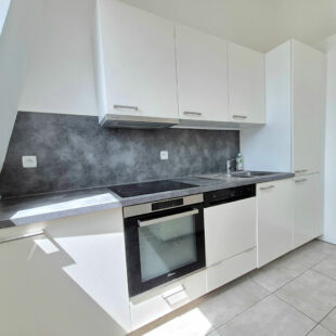LILLE HYPERCENTRE NATIONALE : TRES BEL APPARTEMENT TYPE 4 LUMINEUX EN DUPLEX AVEC CAVE