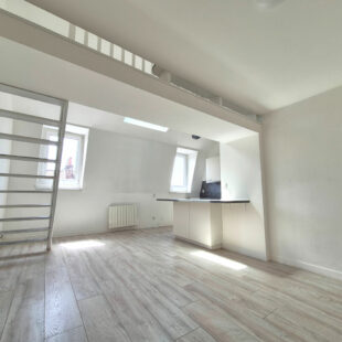 LILLE HYPERCENTRE NATIONALE : TRES BEL APPARTEMENT TYPE 4 LUMINEUX EN DUPLEX AVEC CAVE