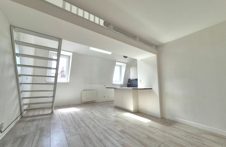 LILLE HYPERCENTRE NATIONALE : TRES BEL APPARTEMENT TYPE 4 LUMINEUX EN DUPLEX AVEC CAVE