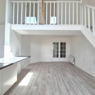 LILLE HYPERCENTRE NATIONALE : TRES BEL APPARTEMENT TYPE 4 LUMINEUX EN DUPLEX AVEC CAVE