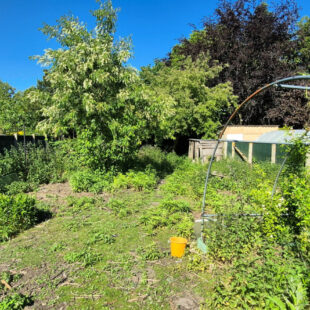 Maison Saint Amand Les Eaux