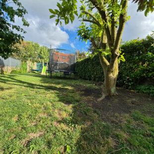 Maison Neuville En Ferrain  , jardin garage
