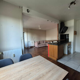 Appartement Lille 2 pièce(s) 51.75 m2 balcon