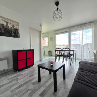LILLE MOULINS – FAC DE DROIT : JOLI STUDIO DE 30M² AVEC TERRASSE