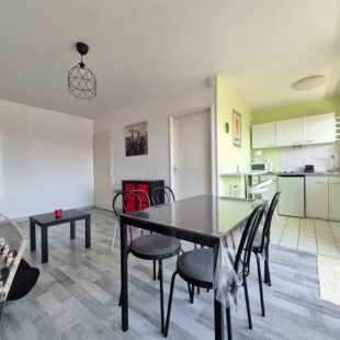 LILLE MOULINS – FAC DE DROIT : JOLI STUDIO DE 30M² AVEC TERRASSE
