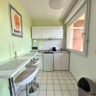 LILLE MOULINS – FAC DE DROIT : JOLI STUDIO DE 30M² AVEC TERRASSE