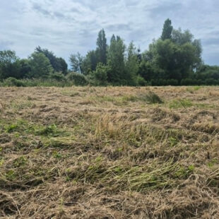 Terrain constructible de 1 069 m² à Molinghem (Isbergues
