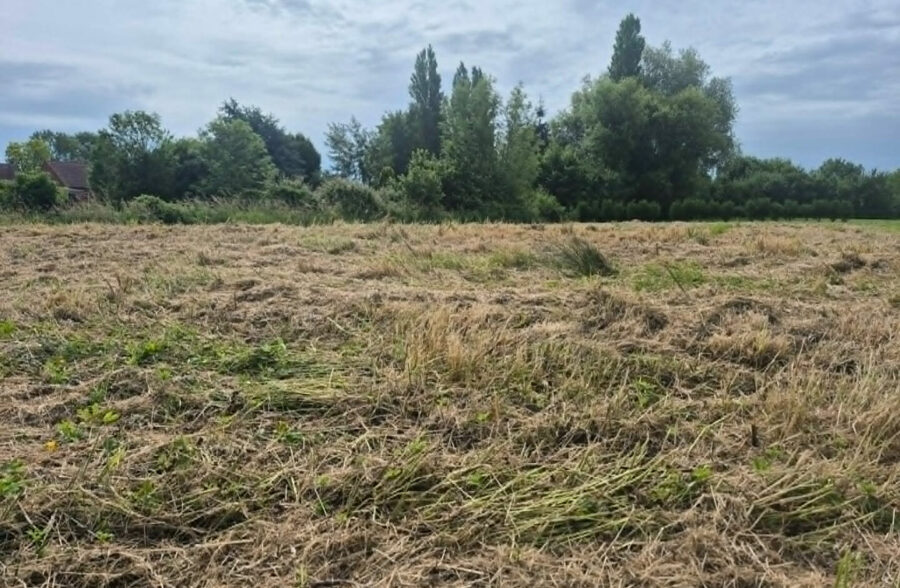 Terrain constructible de 1 069 m² à Molinghem (Isbergues