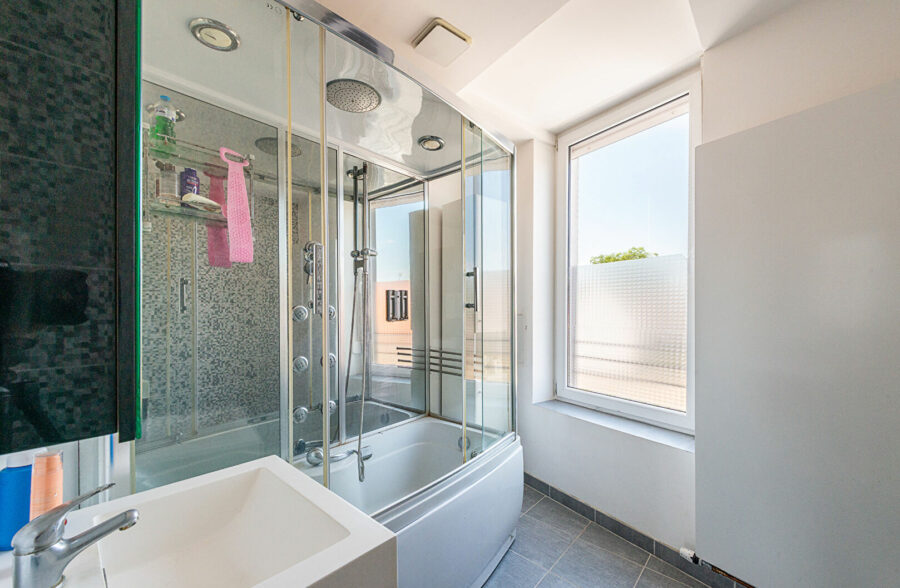Maison Saint Amand Les Eaux 10 pièce(s) 213 m2