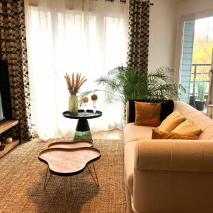 Wasquehal Le Triez Appartement T3