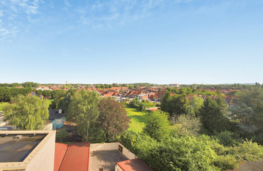 Appartement Henin Beaumont 3 pièce(s)
