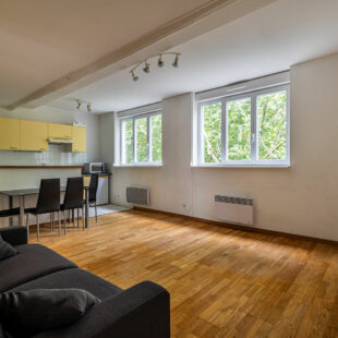 Bel appartement T2 traversant lumineux – Boulevard de la Liberté, Lille