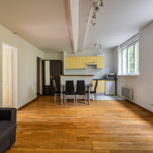 Bel appartement T2 traversant lumineux – Boulevard de la Liberté, Lille