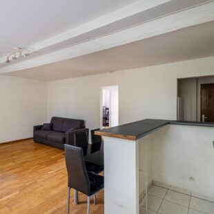 Bel appartement T2 traversant lumineux – Boulevard de la Liberté, Lille