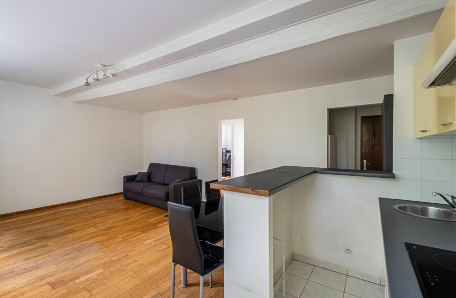 Bel appartement T2 traversant lumineux – Boulevard de la Liberté, Lille