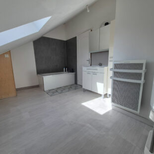 Immeuble de rapport avec local commercial et appartement loué