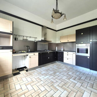 Maison Abscon 11 pièce(s) 220 m2