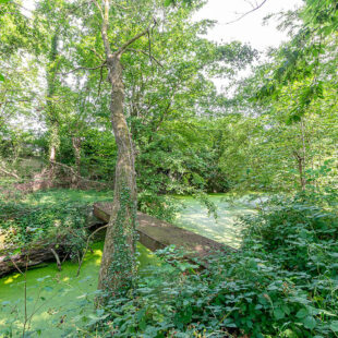 Domaine 204 m² Bruay Sur L Escaut