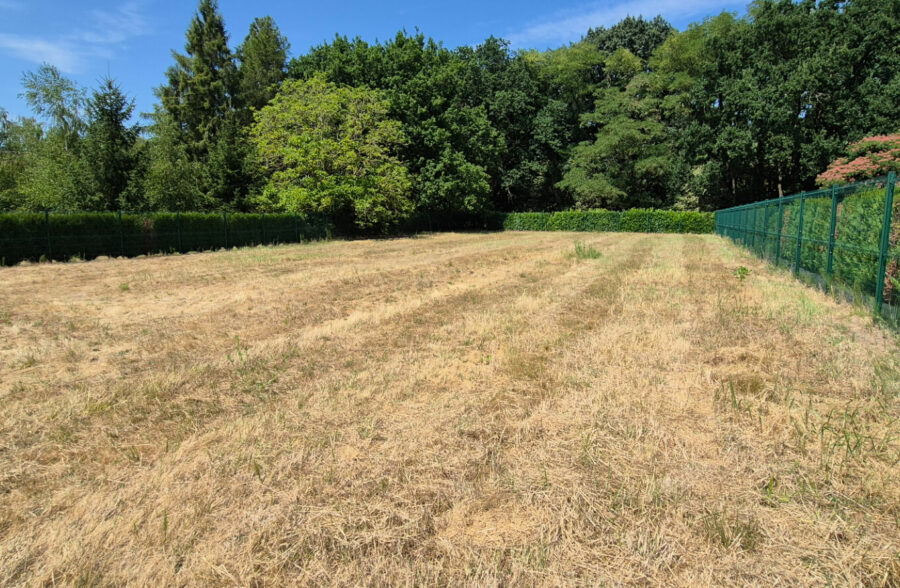 Terrain Flines Lez Raches